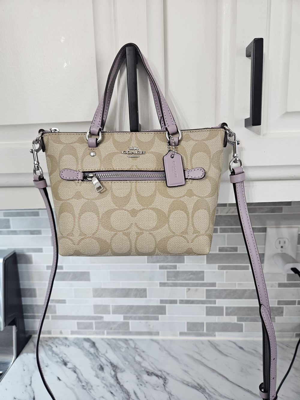 COACH Gallery Mini Canvas Crossbody in Beige with Lavender Trim